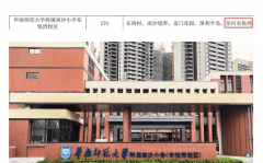 又要拥抱湾区的成长